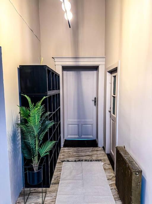 Cozy & Charming Apt. Downtown Διαμέρισμα Τιμισοάρα Εξωτερικό φωτογραφία