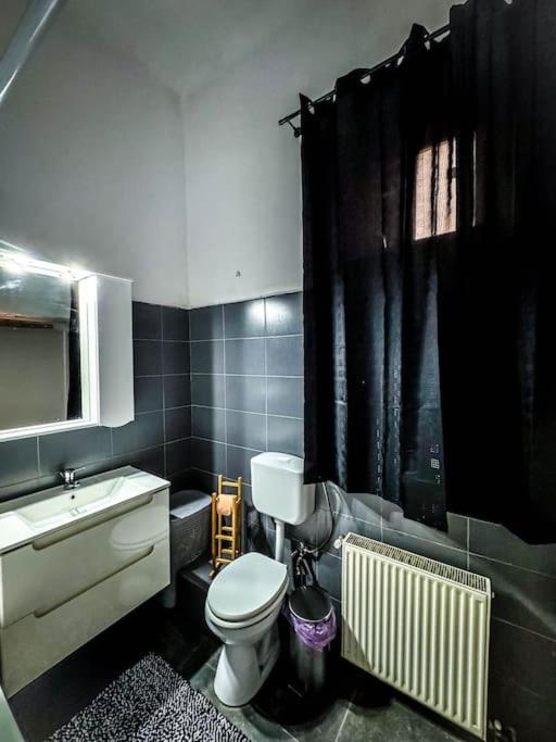 Cozy & Charming Apt. Downtown Διαμέρισμα Τιμισοάρα Εξωτερικό φωτογραφία