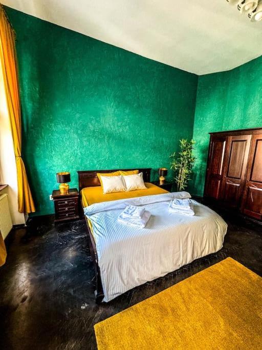 Cozy & Charming Apt. Downtown Διαμέρισμα Τιμισοάρα Εξωτερικό φωτογραφία